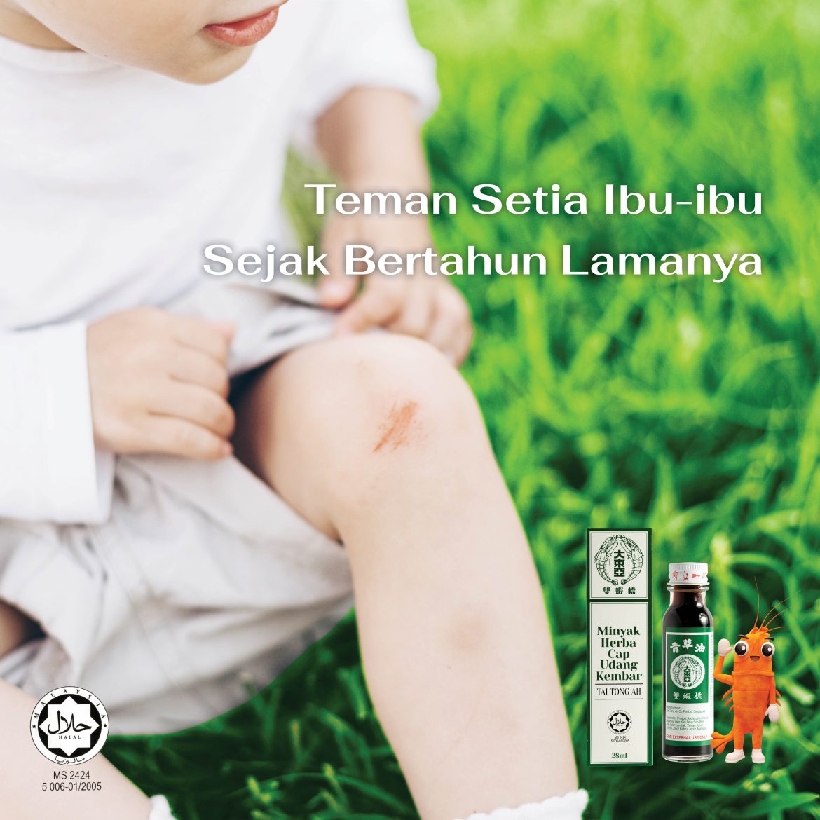 24. Teman setia ibu square